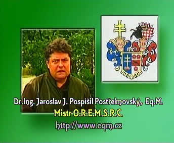 Kostelík v Modré 12